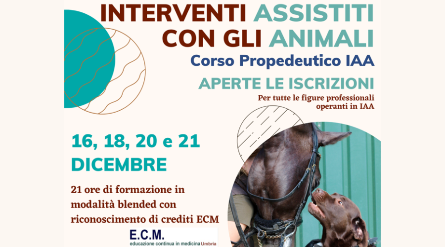 Clicca per accedere all'articolo Fondazione per il Centro Studi "Città di Orvieto": Corso Propedeutico IAA "Interventi Assistiti con gli Animali"